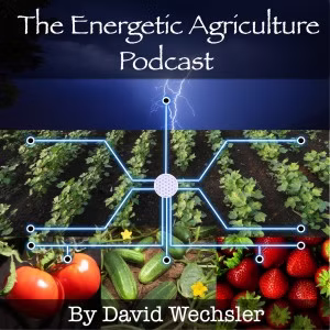 The Energetic Agriculture Podcast cover art